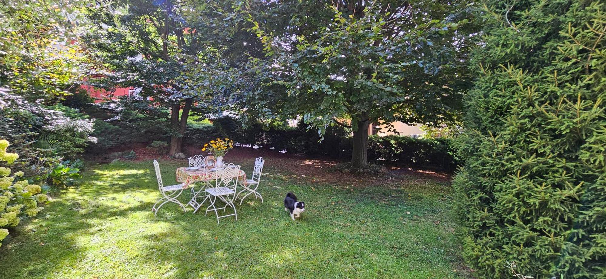 Appartamento Con Ingresso Autonomo, Giardino Privato E Portico Introbio Exteriör bild
